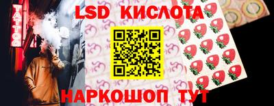ECSTASY Гатчина