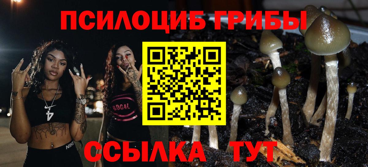 Псилоцибиновые грибы GOLDEN TEACHER Дзержинский