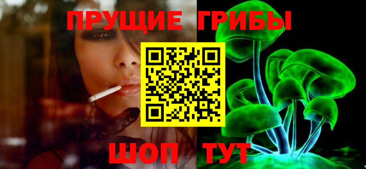 Псилоцибиновые грибы GOLDEN TEACHER  Вход с VPN  Дзержинский  Псилоцибиновые грибы прущие грибы 